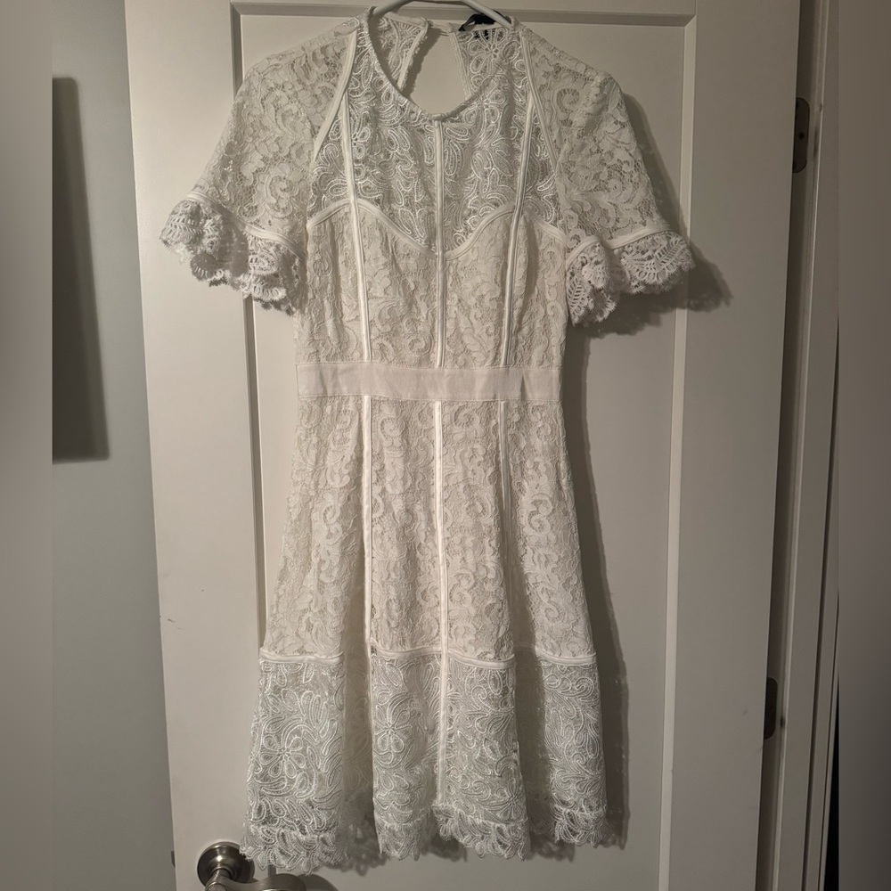French Connection Cabrera White Lace Dress - Summer White - Picture 3 of 4